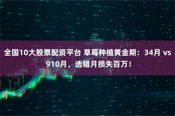 全国10大股票配资平台 草莓种植黄金期：34月 vs 910月，选错月损失百万！