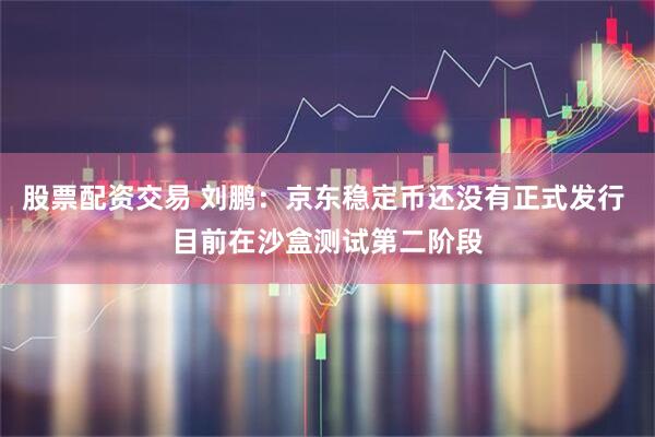 股票配资交易 刘鹏：京东稳定币还没有正式发行 目前在沙盒测试第二阶段