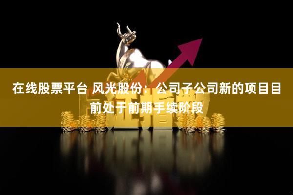 在线股票平台 风光股份：公司子公司新的项目目前处于前期手续阶段