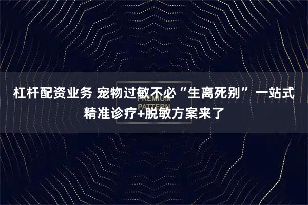 杠杆配资业务 宠物过敏不必“生离死别” 一站式精准诊疗+脱敏方案来了